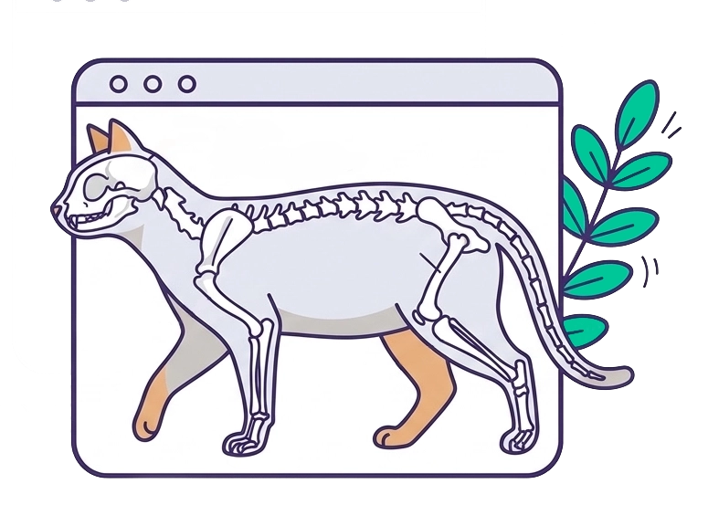 map[src:images/quadruped.webp]